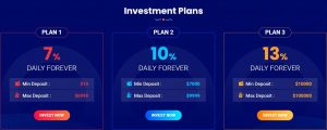 Bitboom.top Investments